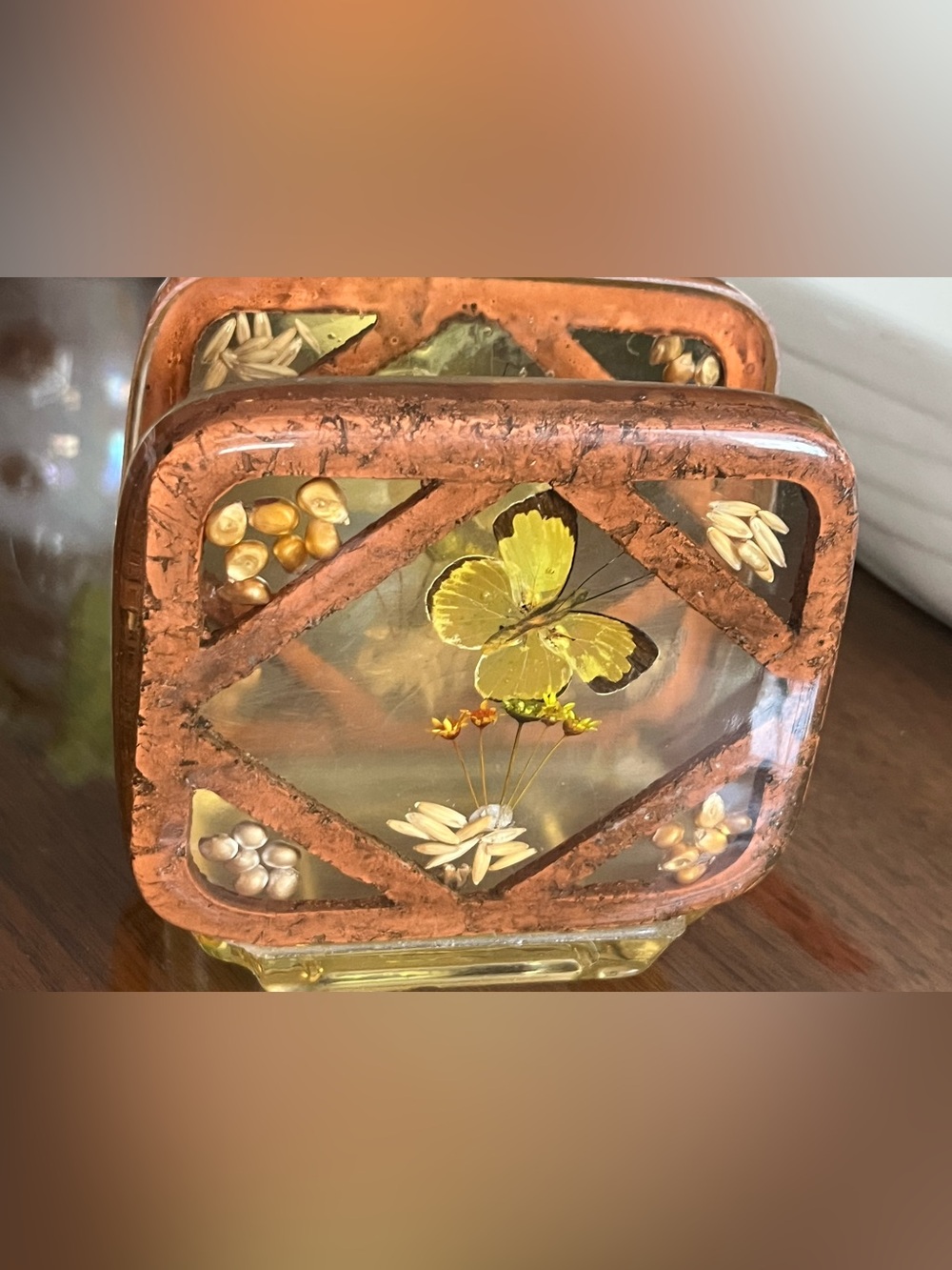 70’s Lucite & Resin Preserved Butterfly, flowers, seeds Napkin Holder